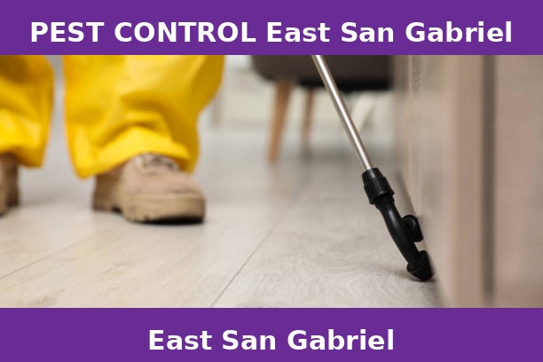 PEST CONTROL East San Gabriel